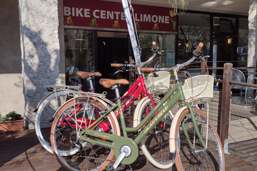Zarma Citybike