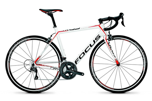 FOCUS CAYO 515