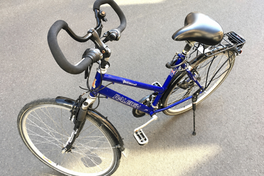 Raleigh Raleigh