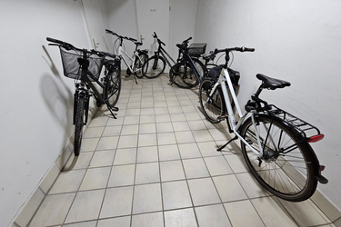 1/2/3/4o. 5 Giant Bio Tourer