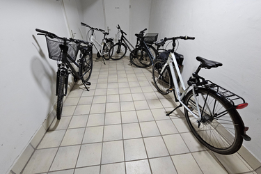 1/2/3/4o. 5 Giant Bio Tourer