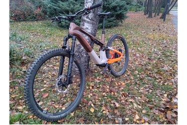 Haibike Lyke CF10