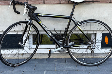 Dancelli 7005