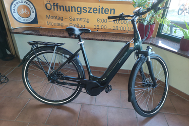 Batavus Finez