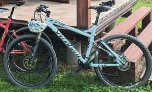 Specialized Epic