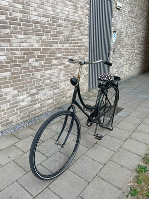 Batavus BSV