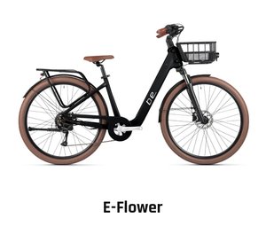 BEMMEX E-FLOWER