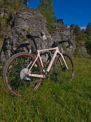 BXT-Gravelbike Custom Gravelbike