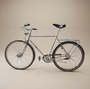 DBS Touring Vintage Bike