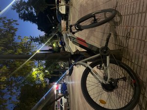 Rockrider St 100