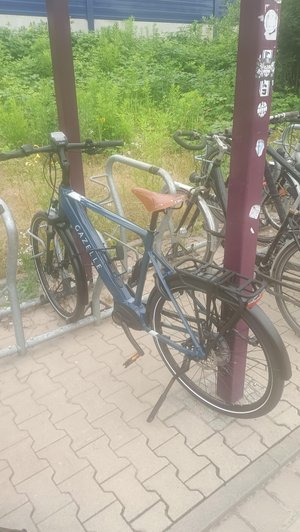 Gazelle Medeo T10 HMB