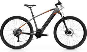 MEGAMO RIDON 10 - Small
