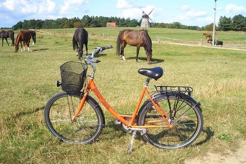 Mietrad-Usedom Citybike 7-Gänge