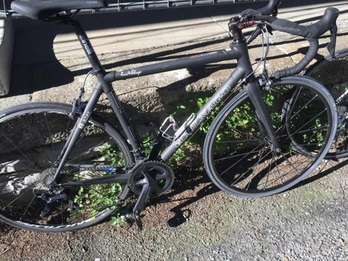 Colnago B-Stay