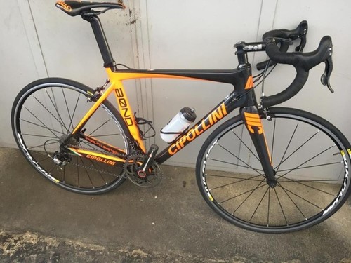 Cipollini Bond