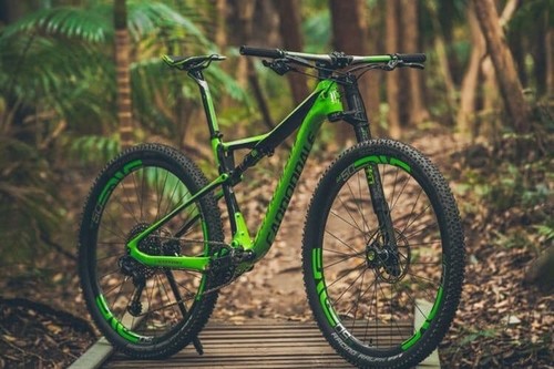 CANNONDALE Carbon