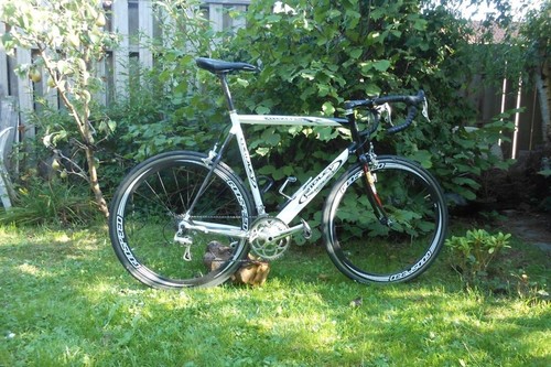 Ridley Alu carbon