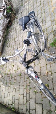 Gazelle Medeo Exellent 