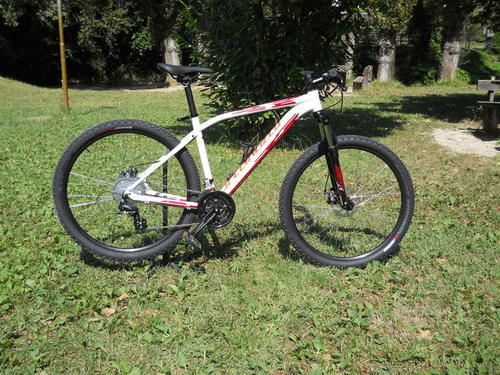 Specialized Usata