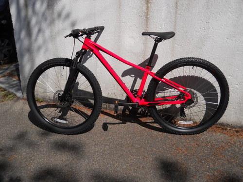 Specialized Usata