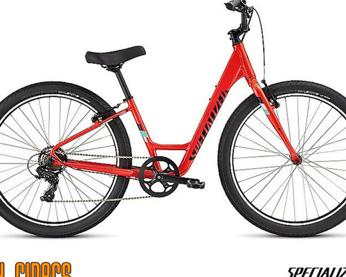 Specialized  Roll Low