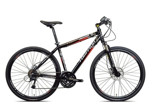 Lombardo Amantea Woman 200