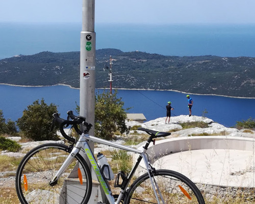Cannondale CAAD Optimo 10