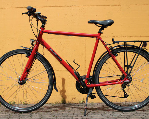 Velo de Ville L200 light-sport - male