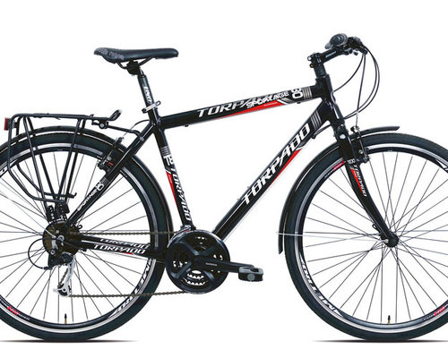 Torpado Sportage Homme