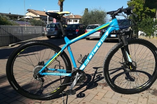 FOCUS Whistler Evo Hardtail