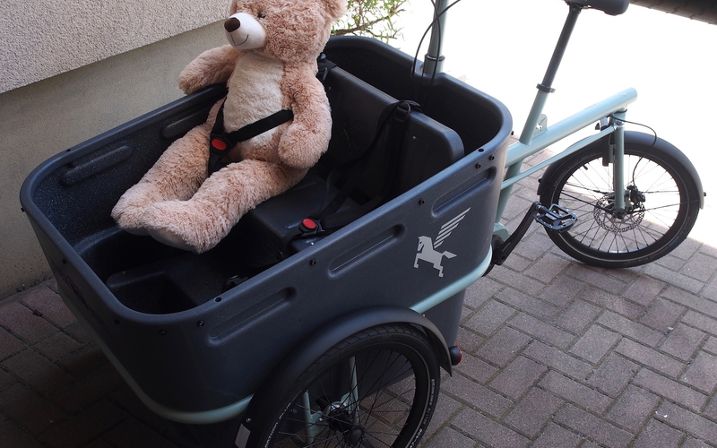 Black Iron Horse Pony