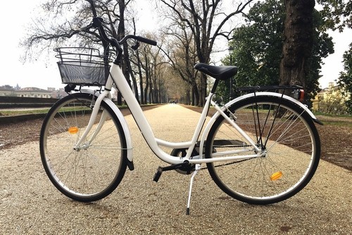 City Bike Montana / Biciclo