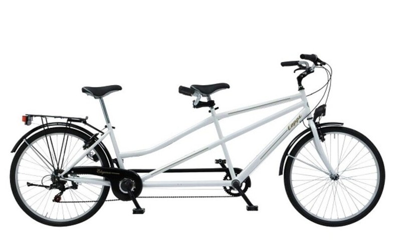 Coppi Kidney Warmers