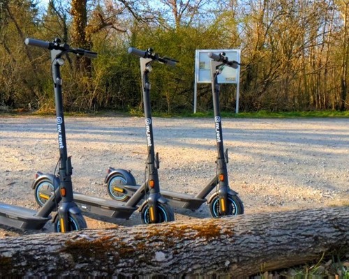 Segway Ninebot g30 d