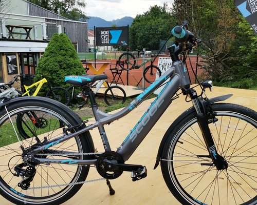 S'COOL Junior Bikes e-troX 24''