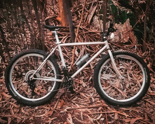 Esmaltina Custom Chromoly