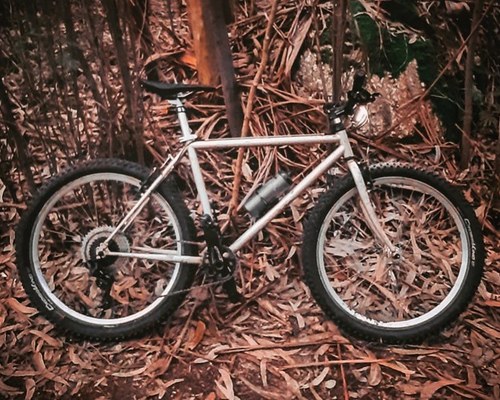 Esmaltina Custom Chromoly