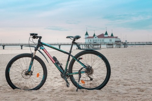 Checkerpig Mountainbike