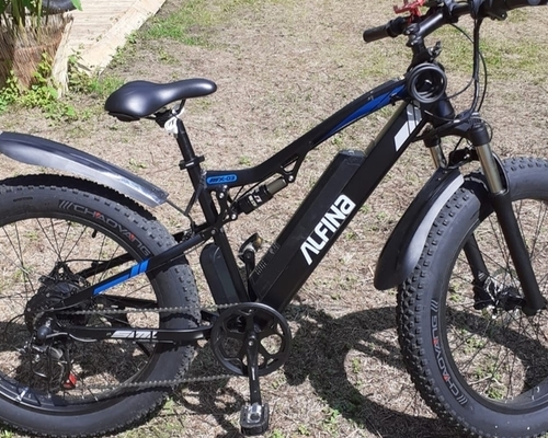 alfina E-Fatbike