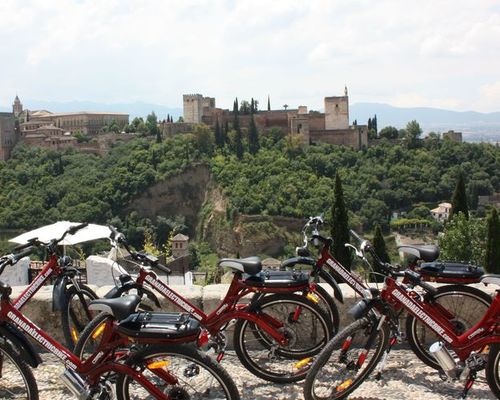 C9  Urban Flyer
