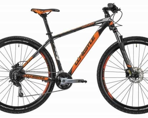 Whistle  29er MTB