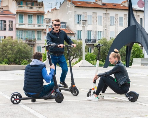 NINEBOT SEGWAY E-Scooter NINEBOT Serie F - Category A