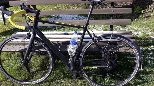 Canyon Endurace AL 8.0