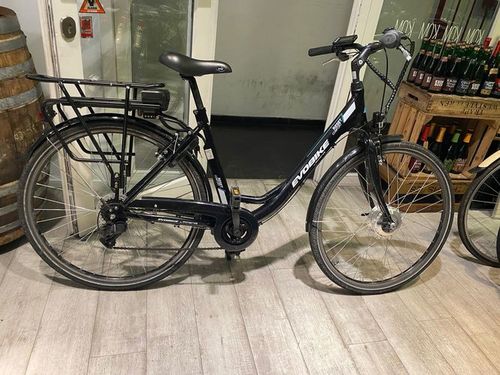 Minerva Evo-Bike