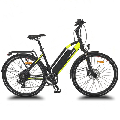 Urbanbiker Viena