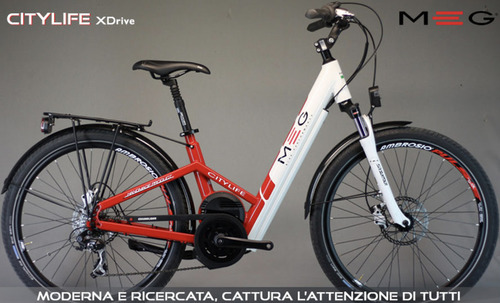 E-bike e-city bike 