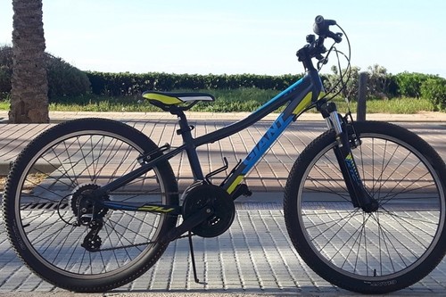 Giant XTC JR. 20 Zoll