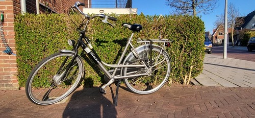 Gazelle Ambiance