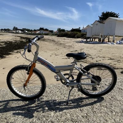 Vélo enfant 20 pouces 