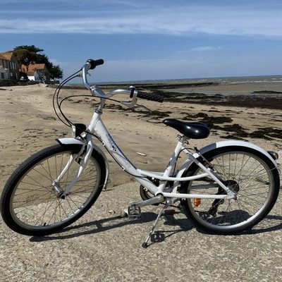 Vélo enfant 24 pouces